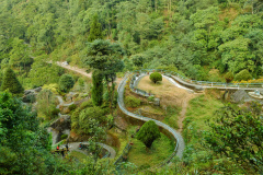 Rock Garden, Darjeeling