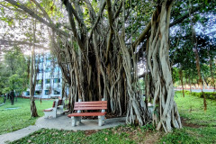 Sit in nature in office