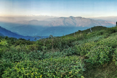 PANO_20181230_162731.vr-01